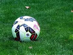 阿方索膝盖,软骨受损,或面临长达,﻿万博manbetx体育平台,万博体育官网,万博体育app下载,ManBetX,SPORTS